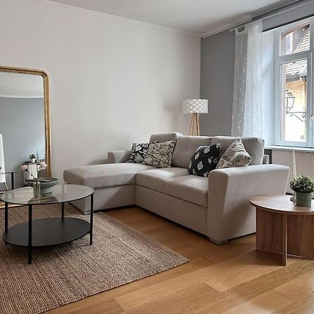 Hypercentre 80M2, A Deux Pas Du Chateau Des Rohan Saverne Eksteriør bilde