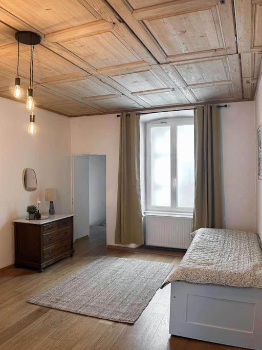 Hypercentre 80M2, A Deux Pas Du Chateau Des Rohan Saverne Eksteriør bilde