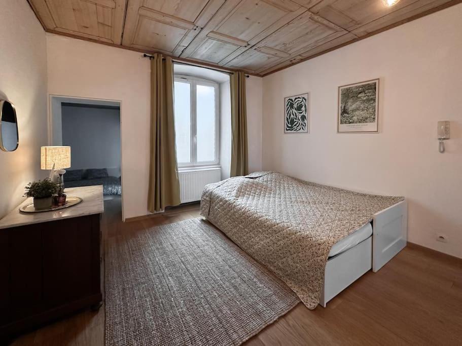 Hypercentre 80M2, A Deux Pas Du Chateau Des Rohan Saverne Eksteriør bilde